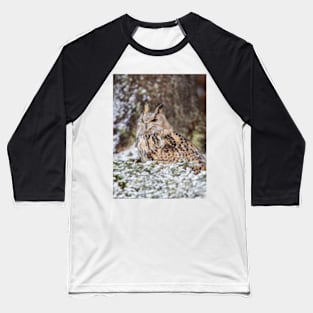 Western Siberian Eagle Owl Baseball T-Shirt